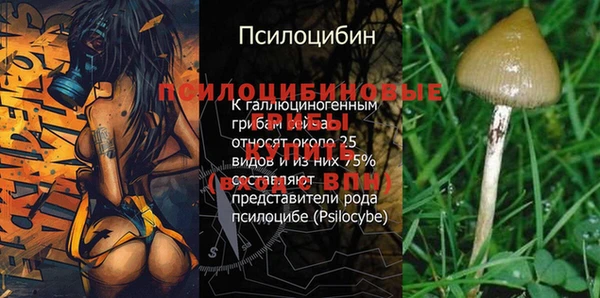 дурь Алзамай