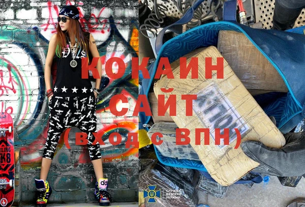 ешки Алексин