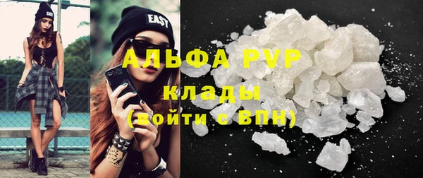 ешки Алексин