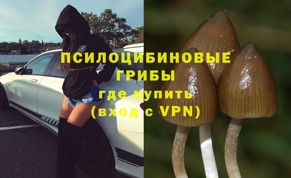 крисы Михайловка