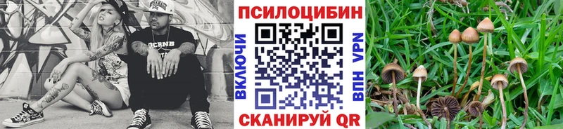 Псилоцибиновые грибы Magic Shrooms  Южно-Сухокумск 